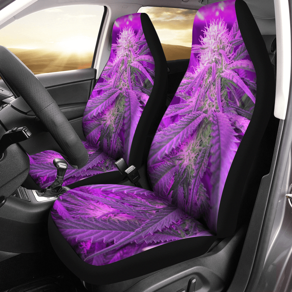 Car seat covers